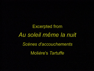 Ariane Mnouchkine DVD